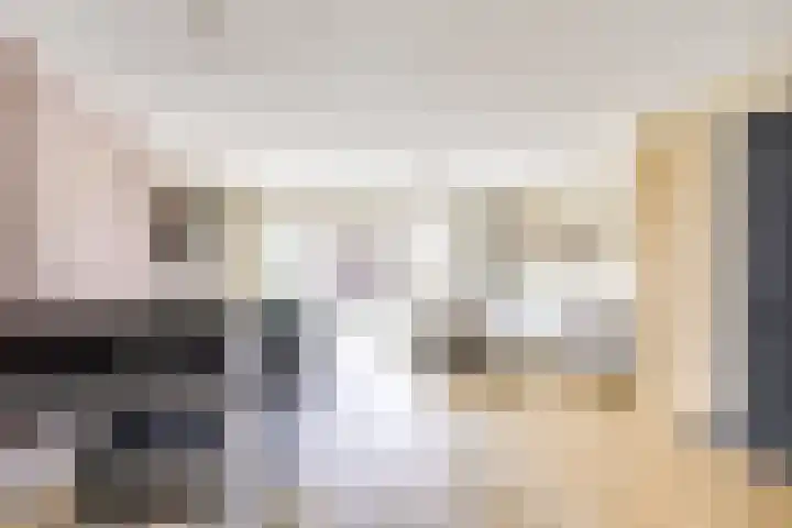 Zilvermos 2 Houten thumbnail 6