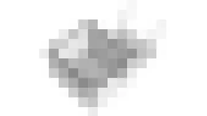 Zilvermos 2 Houten thumbnail 68