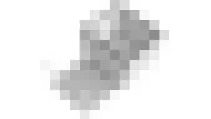 Zilvermos 2 Houten thumbnail 69