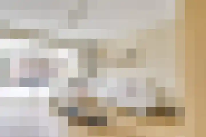 Zilvermos 2 Houten thumbnail 9