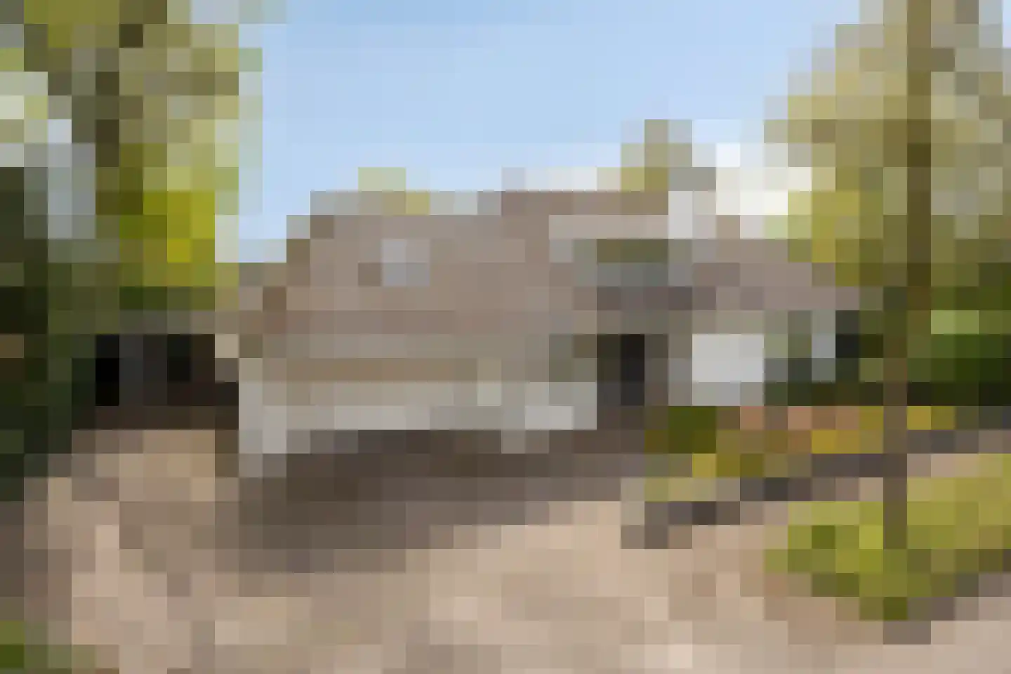Zilvermos 2 Veenendaal