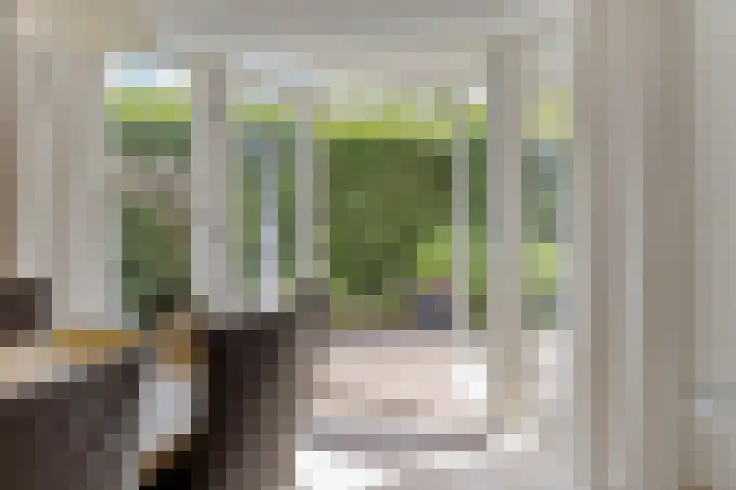 Zilvermos 2 Veenendaal thumbnail 11