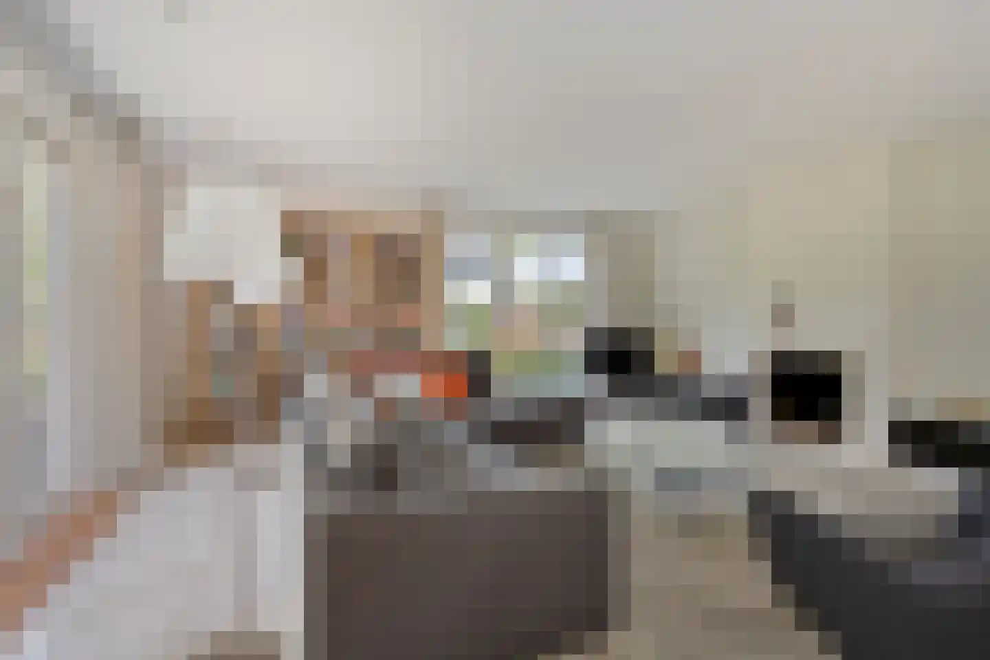 Zilvermos 2 Veenendaal thumbnail 14
