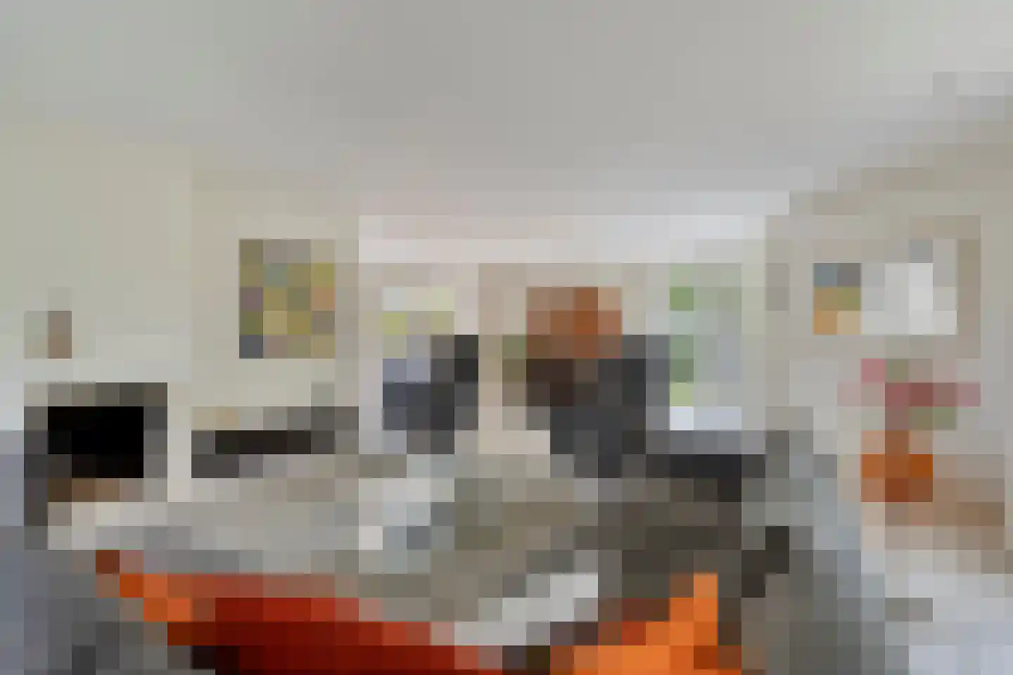 Zilvermos 2 Veenendaal thumbnail 15