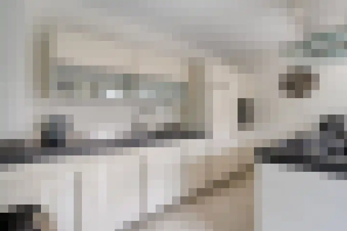 Zilvermos 2 Veenendaal thumbnail 19