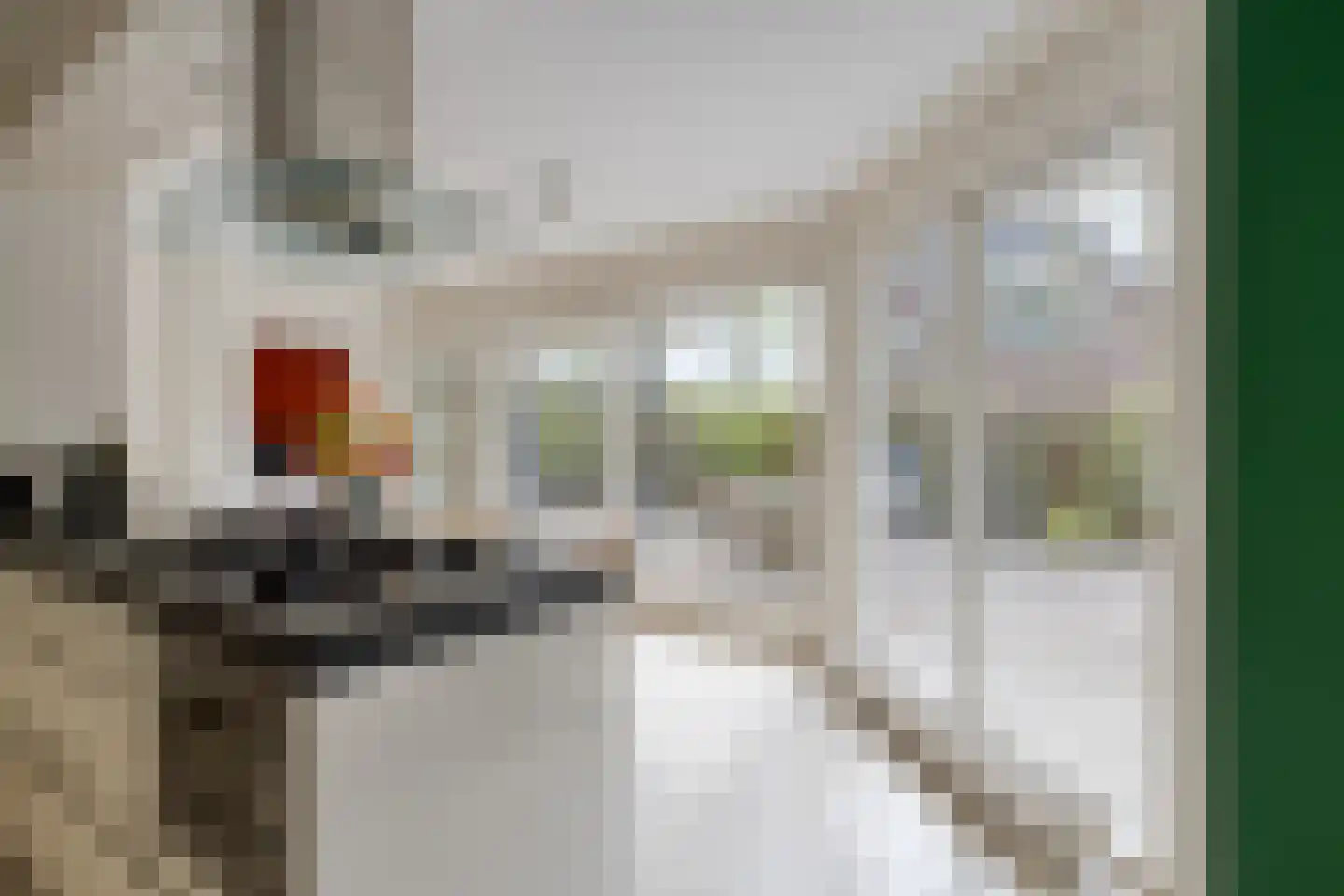 Zilvermos 2 Veenendaal thumbnail 22