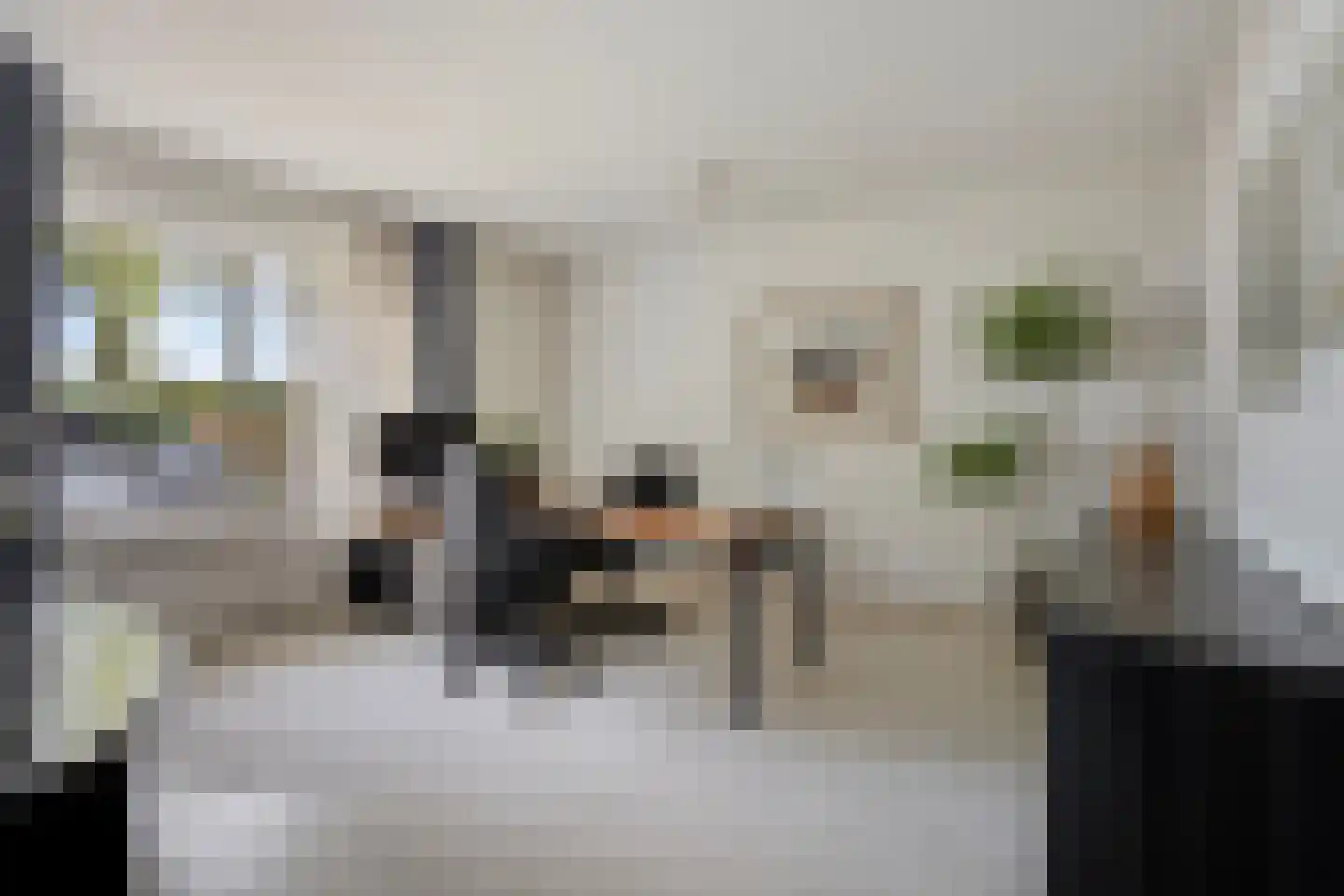 Zilvermos 2 Veenendaal thumbnail 25
