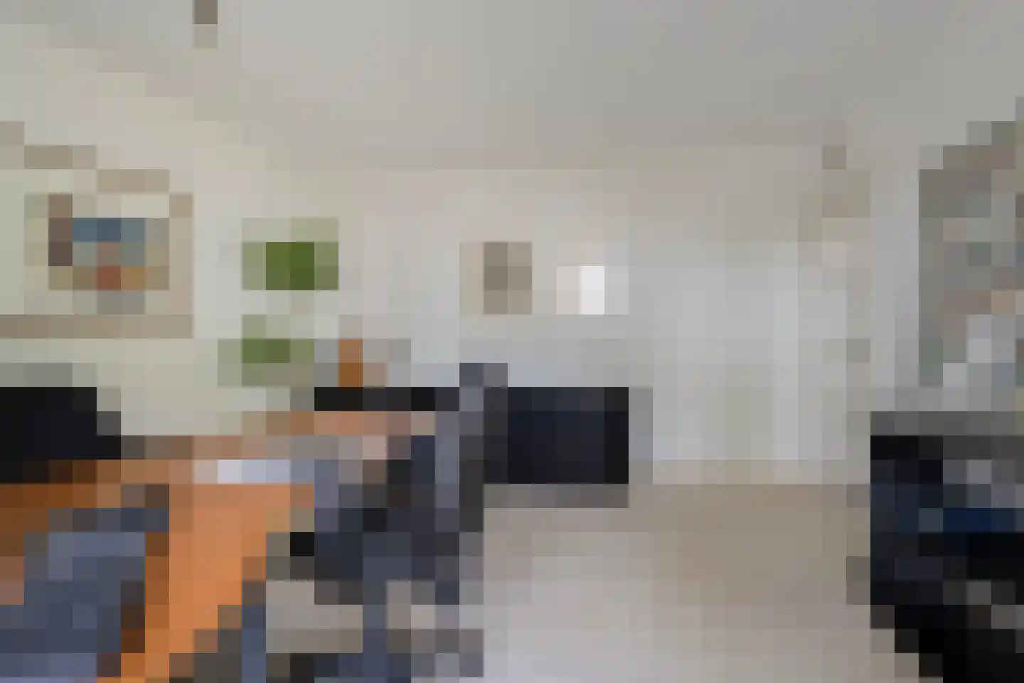 Zilvermos 2 Veenendaal thumbnail 27