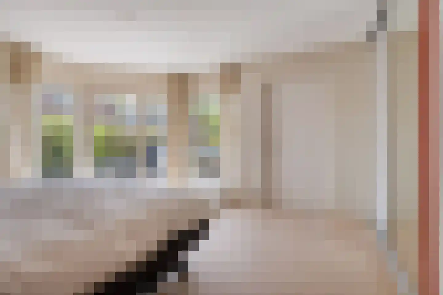 Zilvermos 2 Veenendaal thumbnail 29