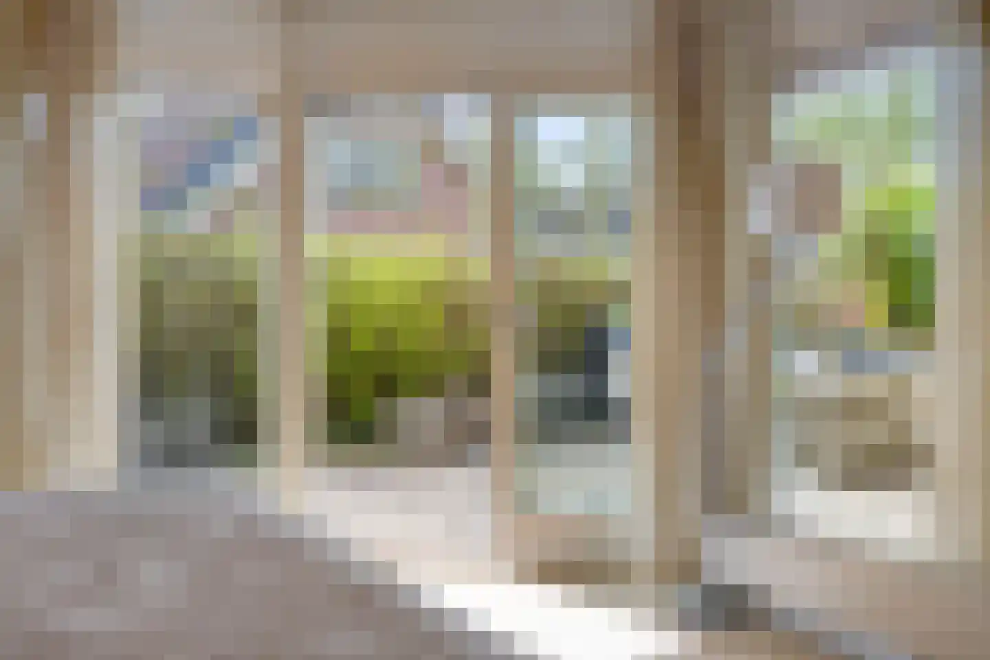 Zilvermos 2 Veenendaal thumbnail 30