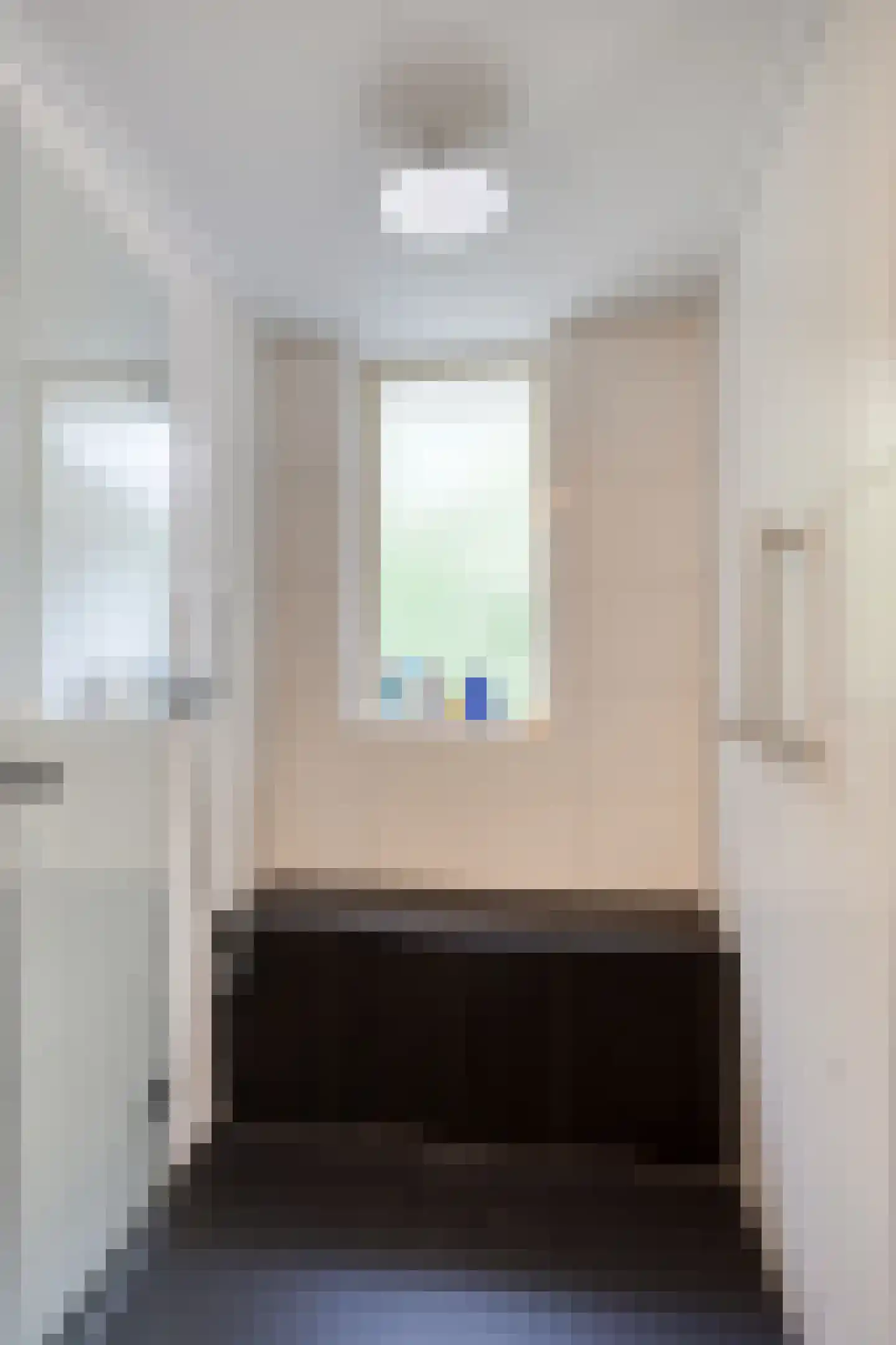 Zilvermos 2 Veenendaal thumbnail 33