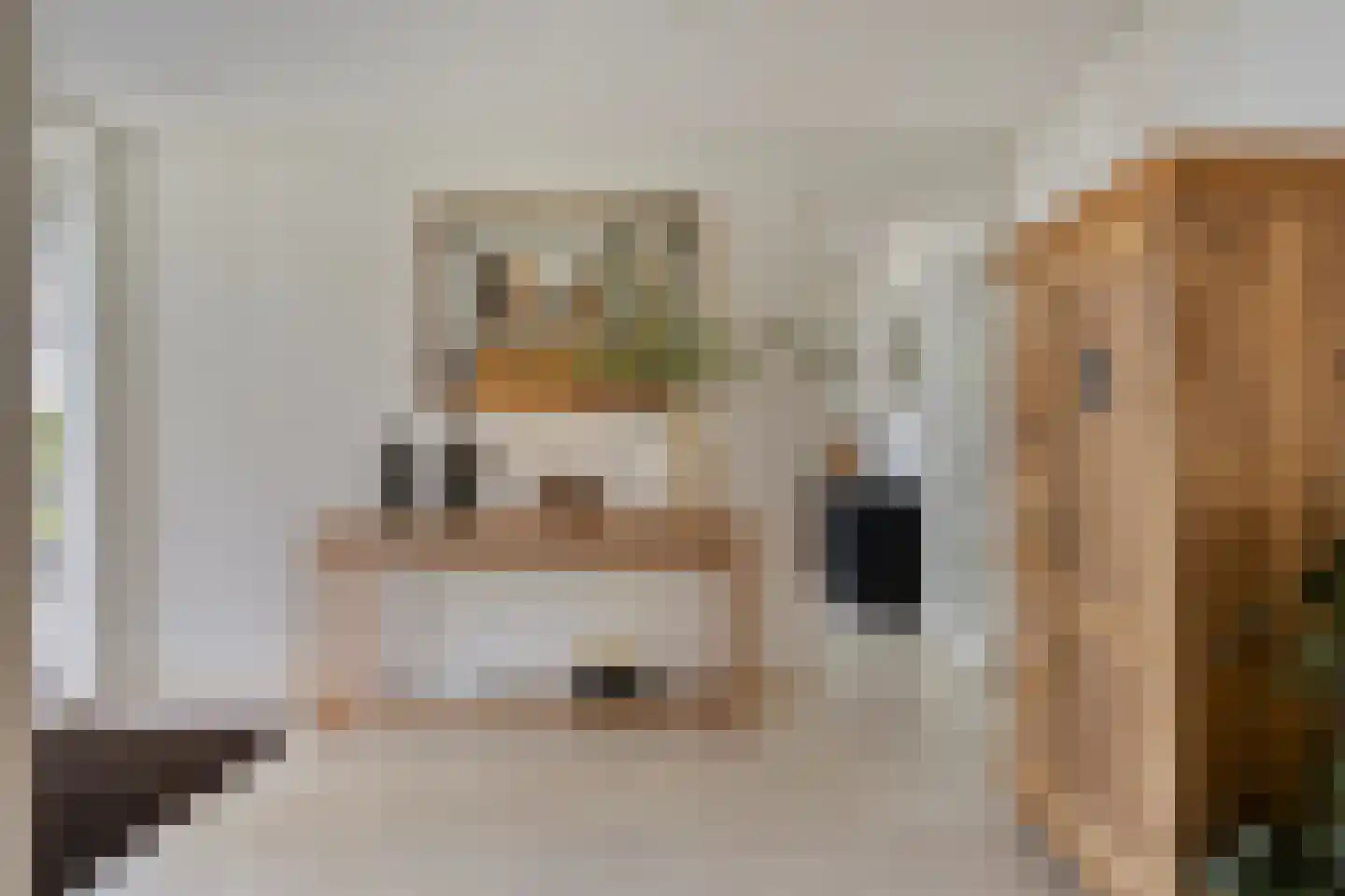Zilvermos 2 Veenendaal thumbnail 36