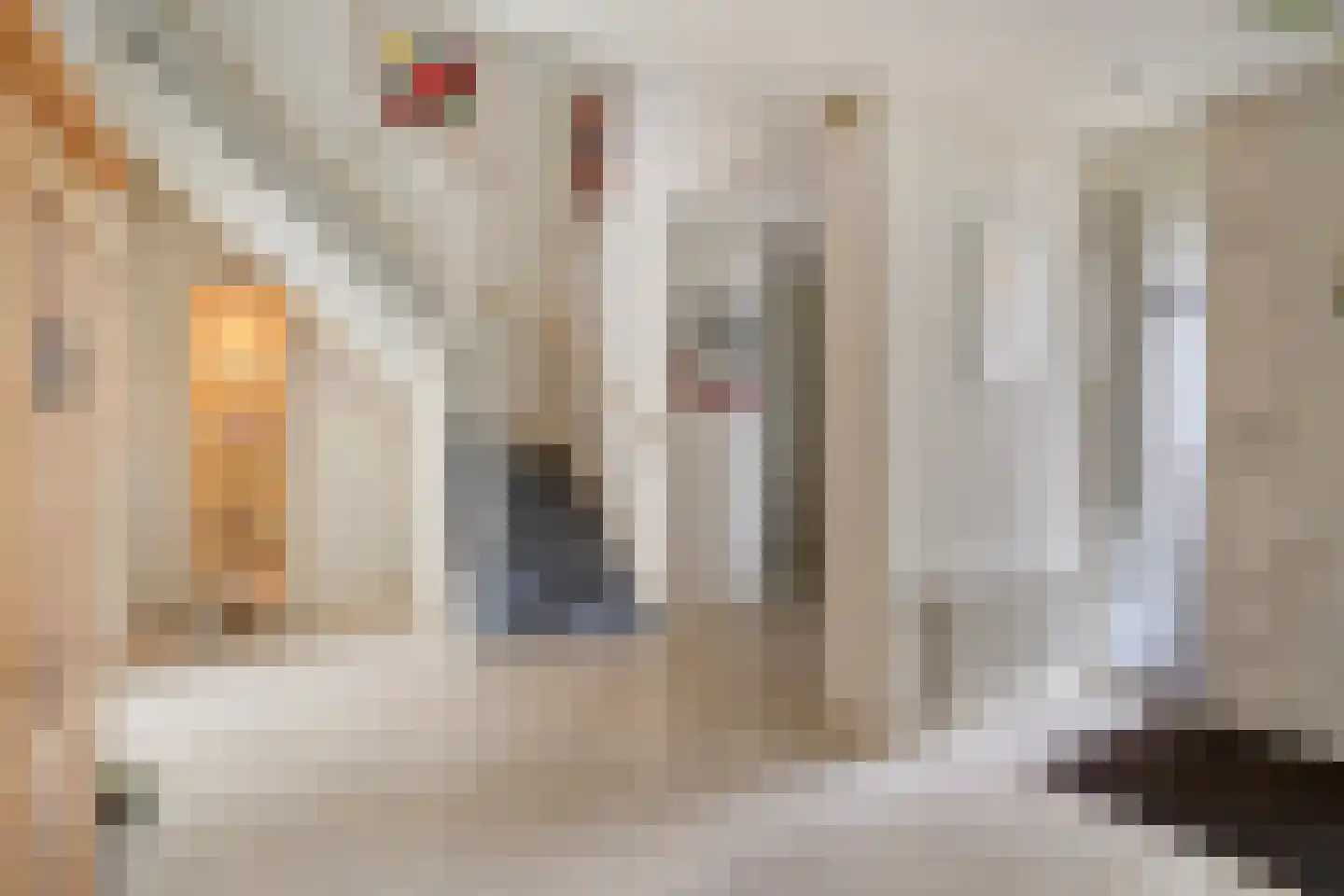Zilvermos 2 Veenendaal thumbnail 37