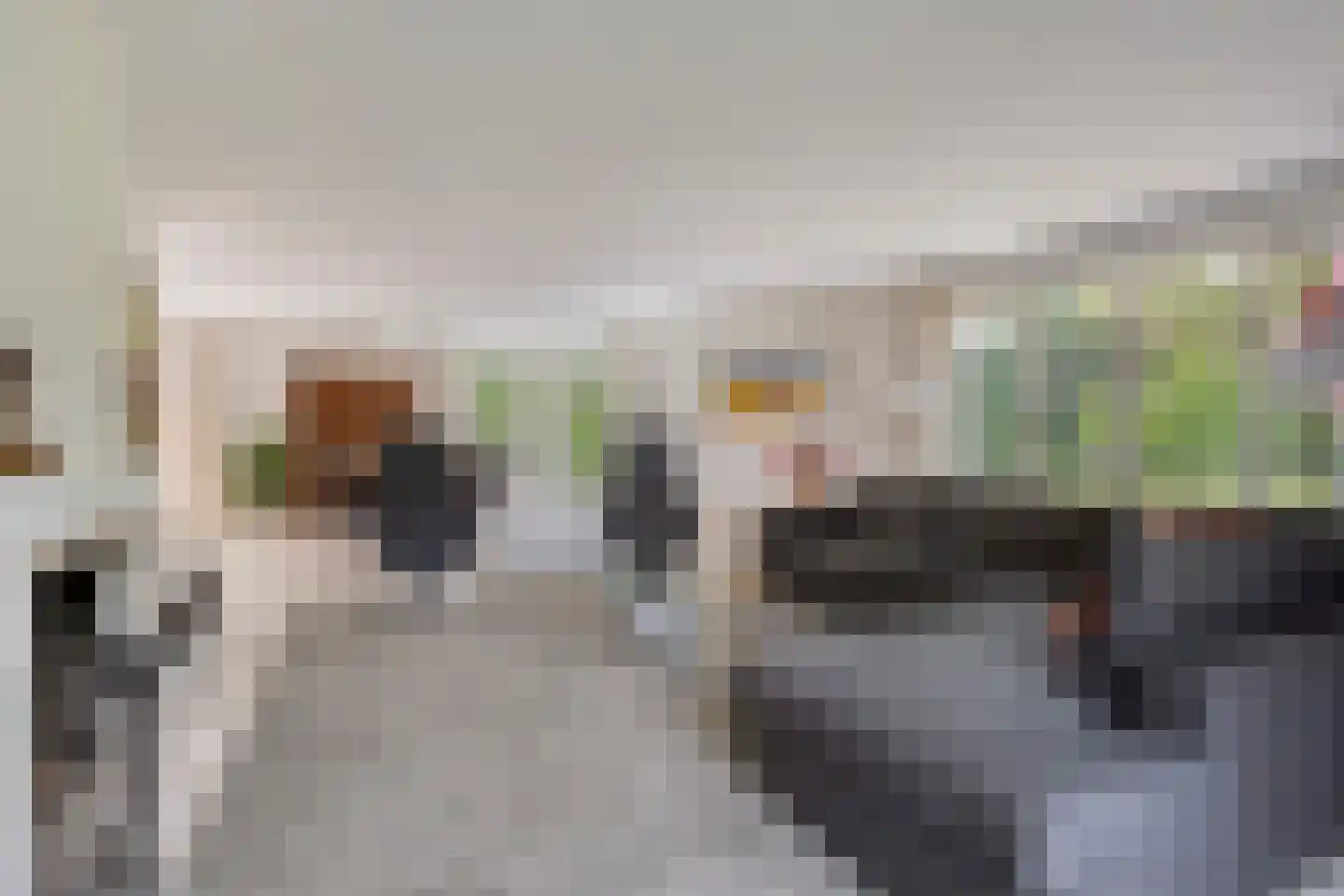 Zilvermos 2 Veenendaal thumbnail 4