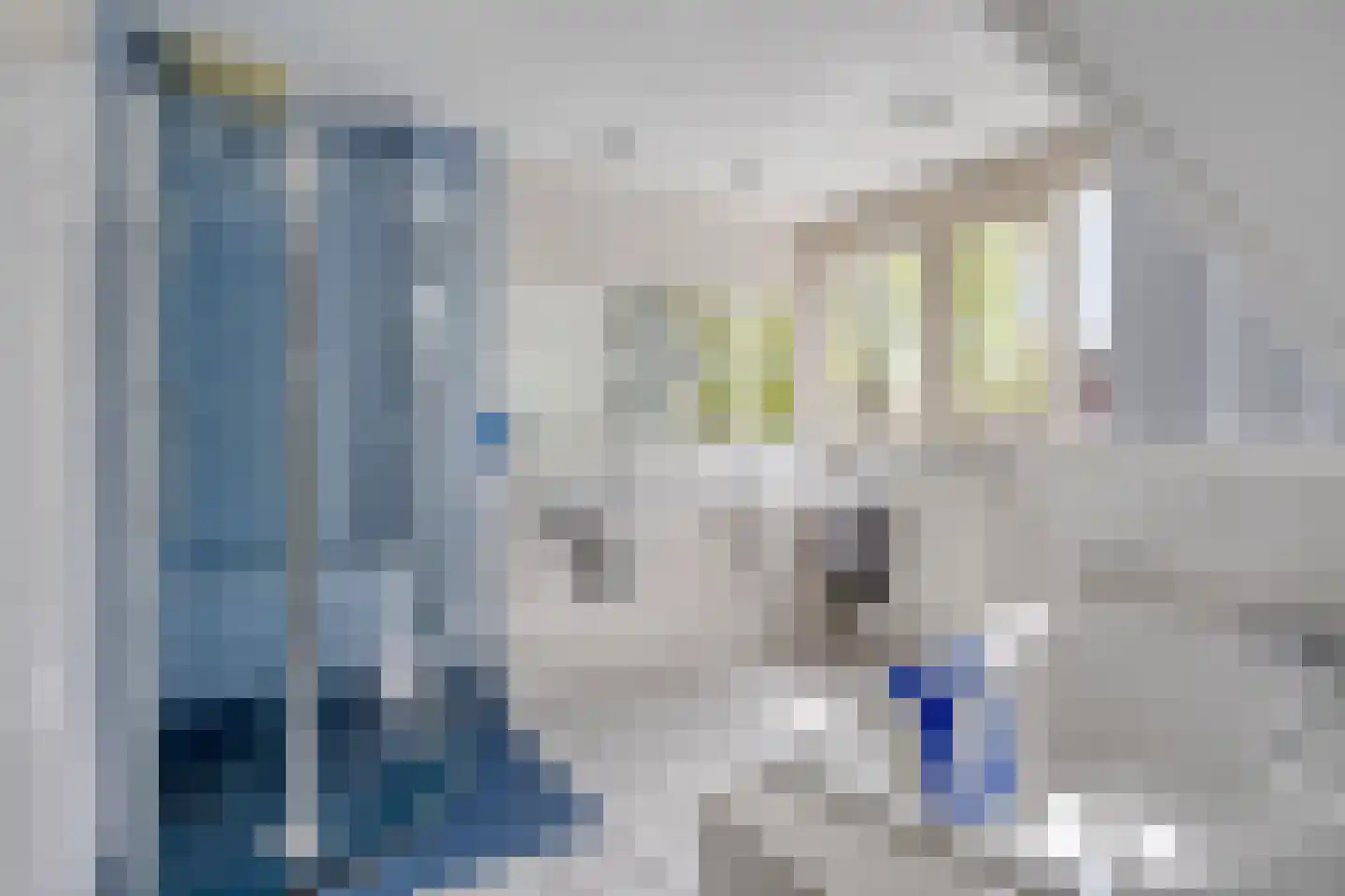 Zilvermos 2 Veenendaal thumbnail 44