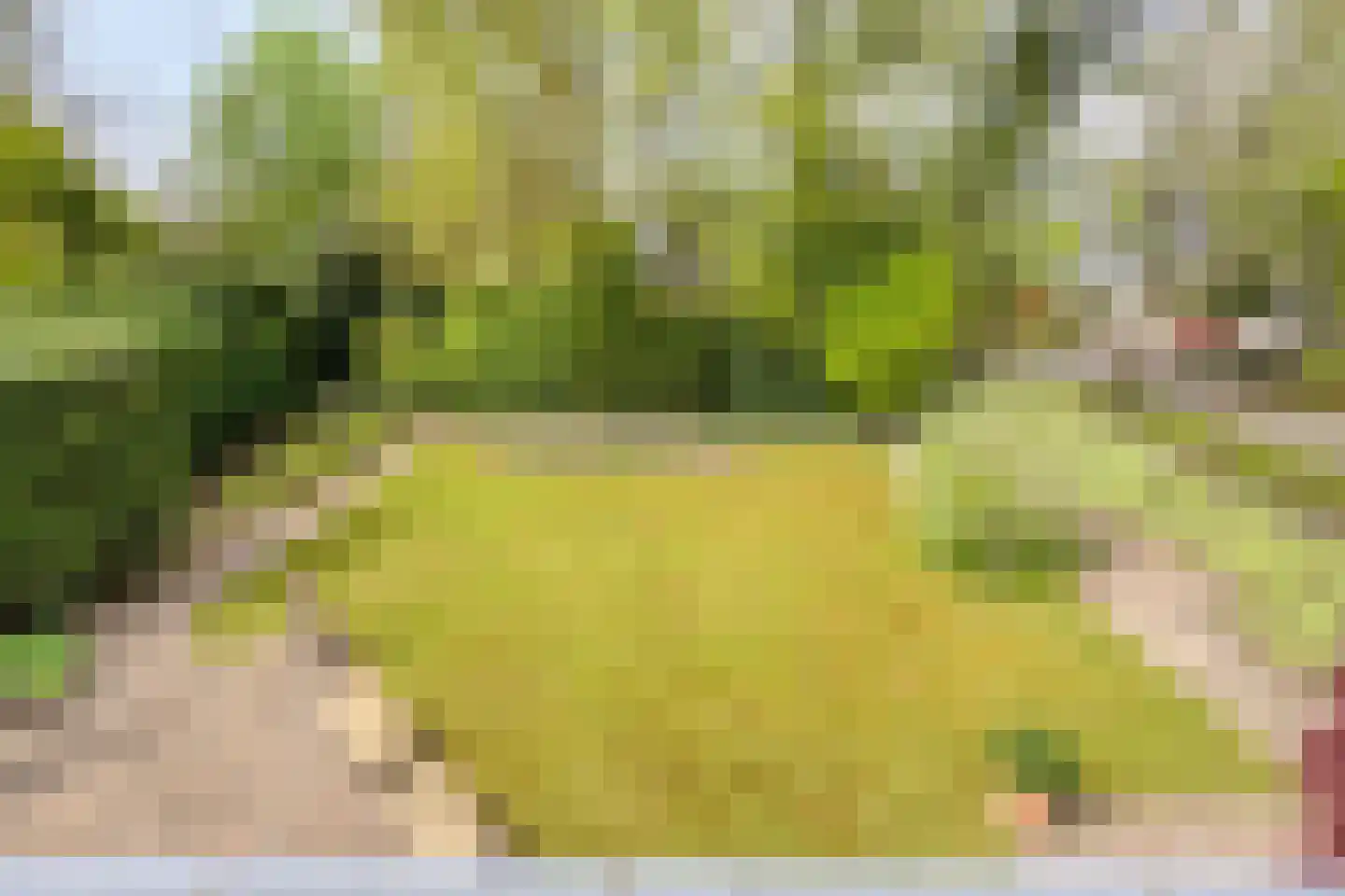 Zilvermos 2 Veenendaal thumbnail 49