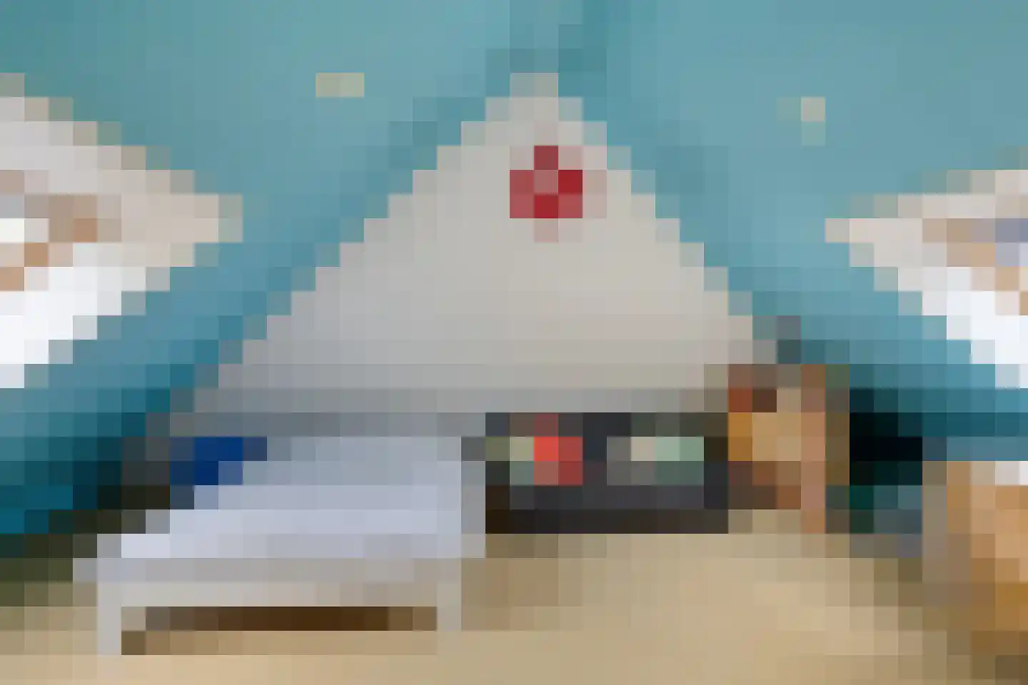 Zilvermos 2 Veenendaal thumbnail 55