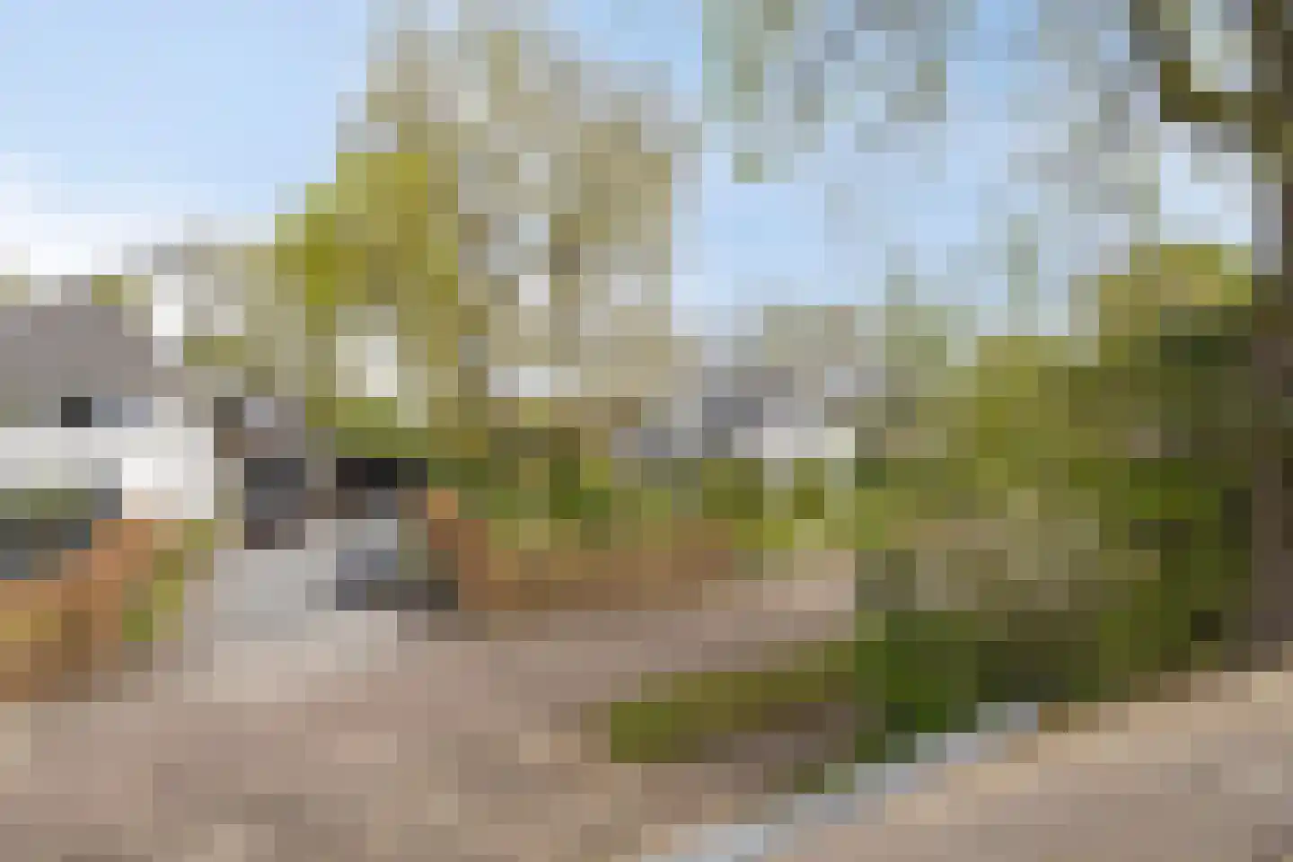 Zilvermos 2 Veenendaal thumbnail 58