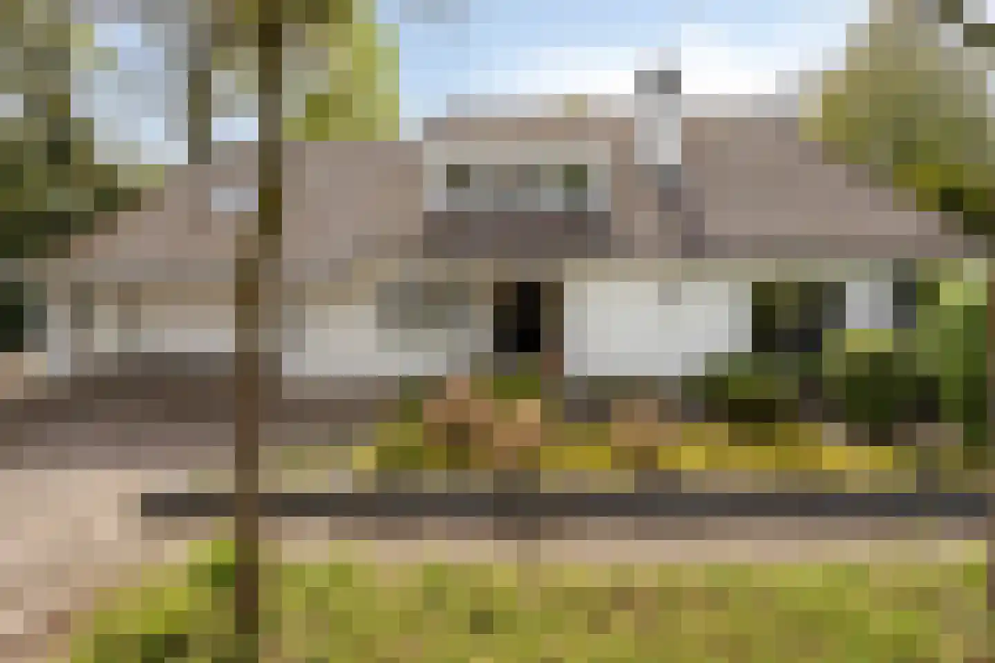Zilvermos 2 Veenendaal thumbnail 6
