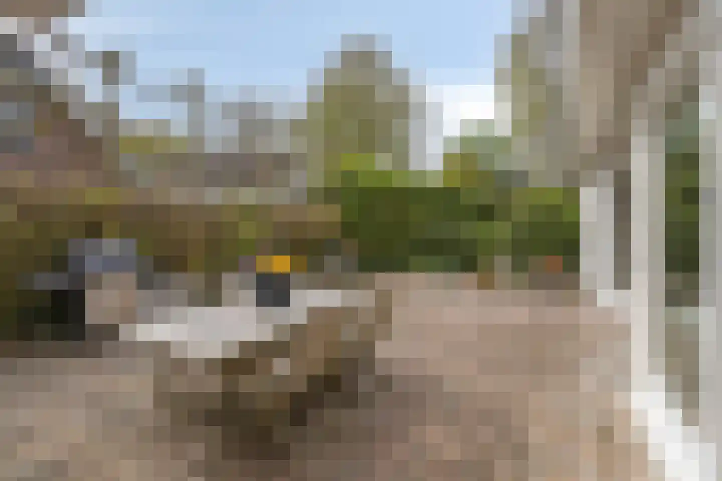 Zilvermos 2 Veenendaal thumbnail 63