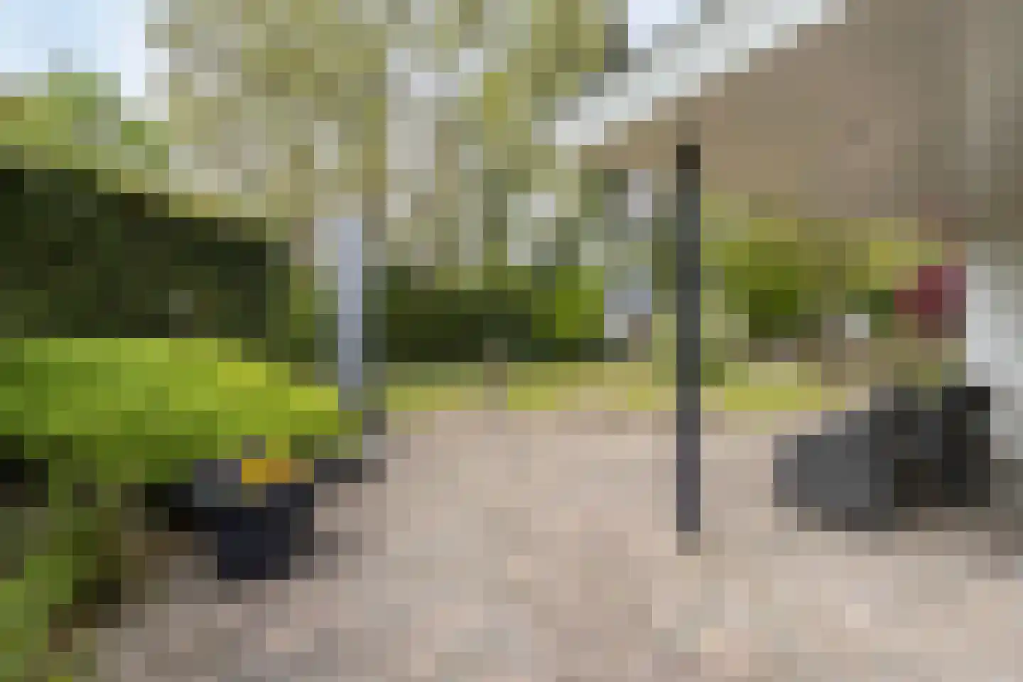 Zilvermos 2 Veenendaal thumbnail 65