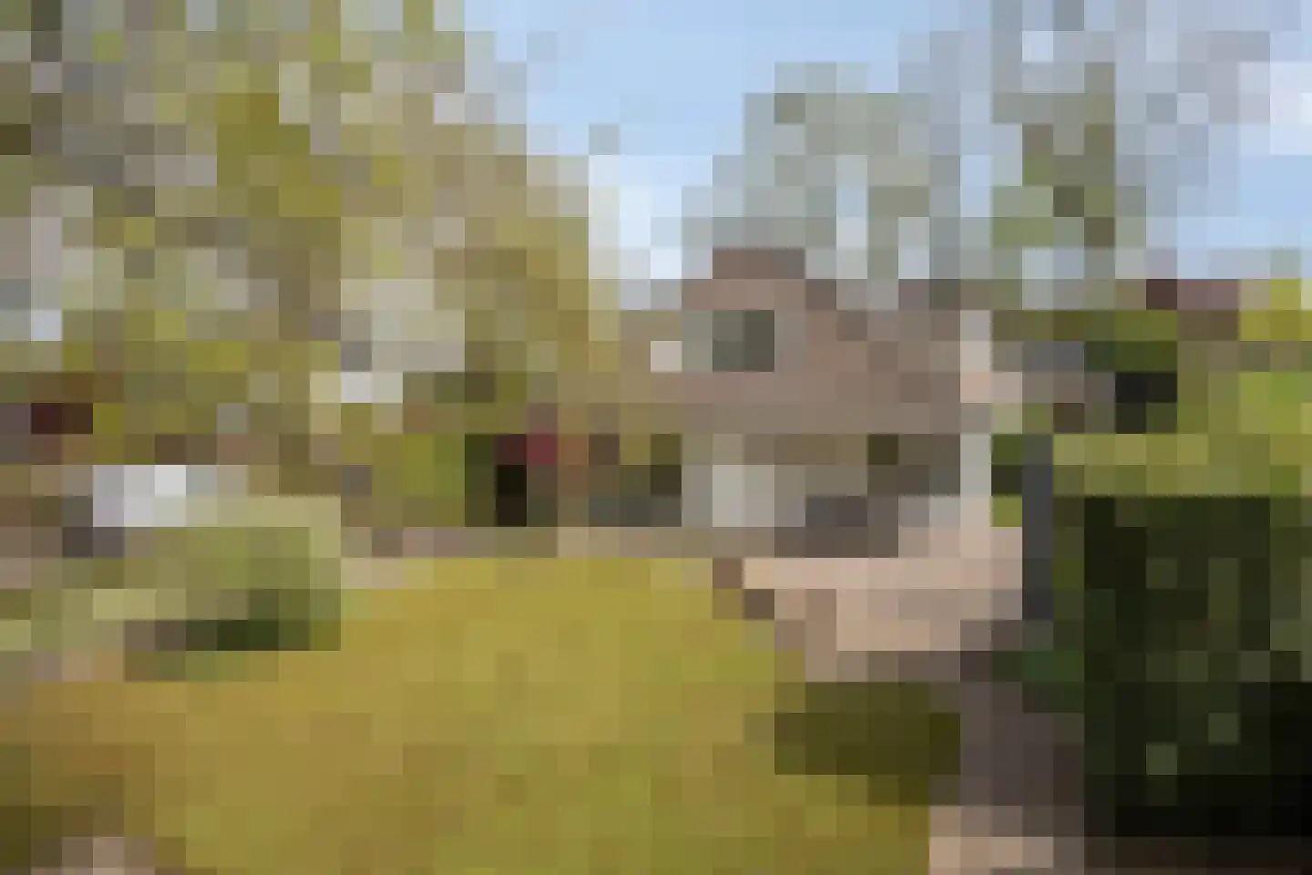 Zilvermos 2 Veenendaal thumbnail 66