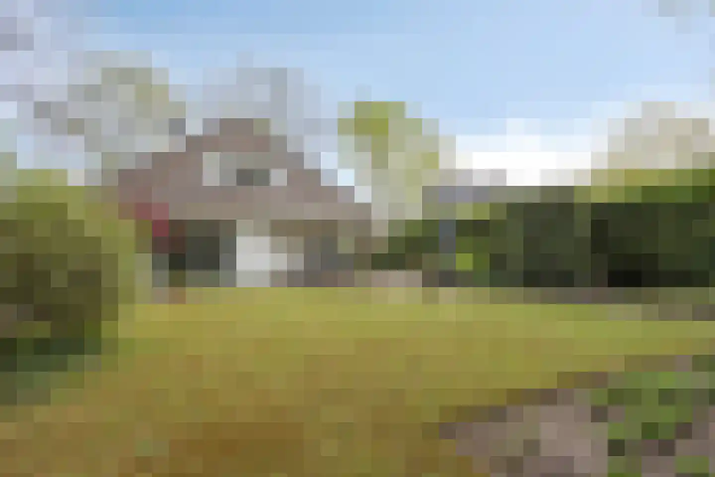 Zilvermos 2 Veenendaal thumbnail 67
