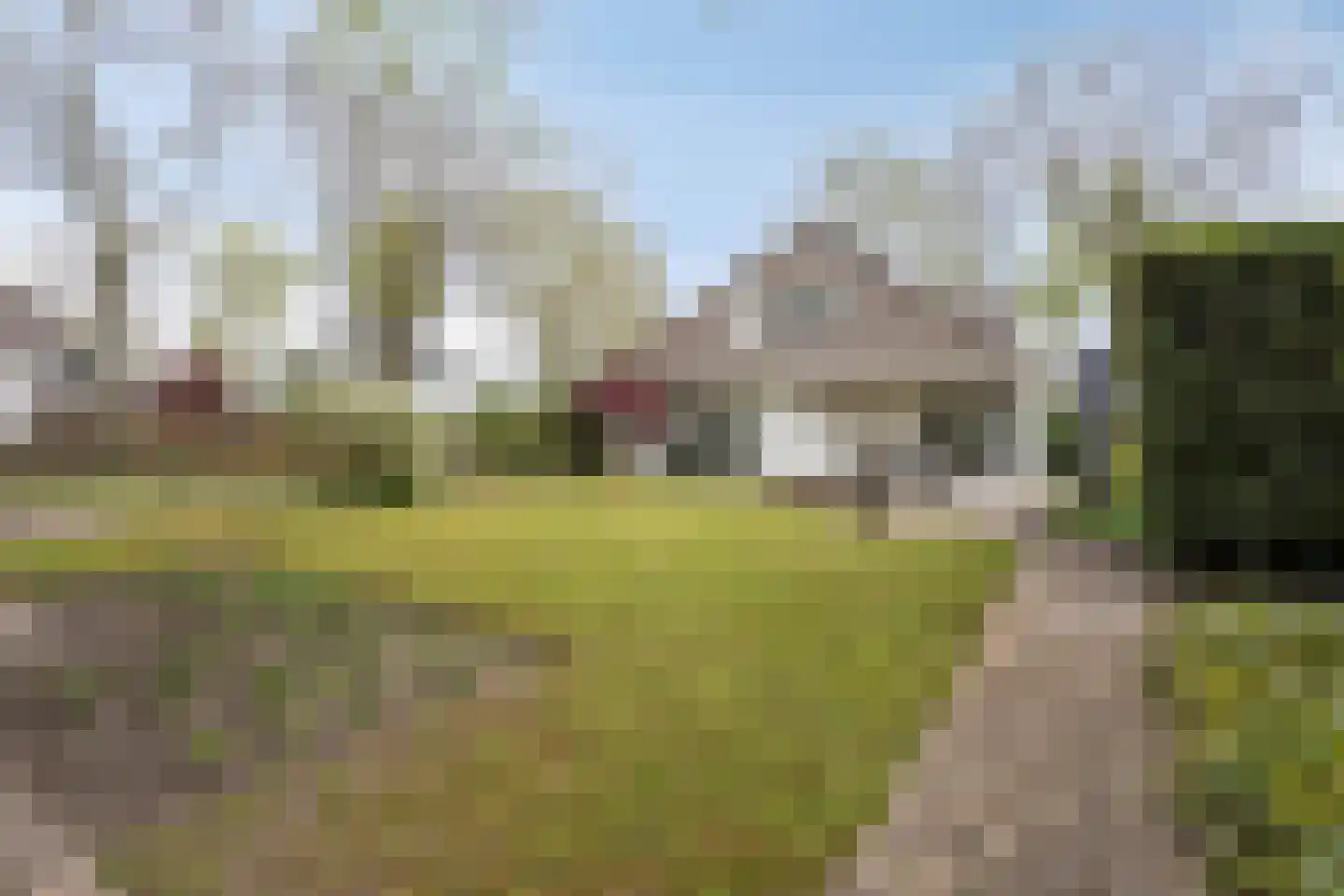 Zilvermos 2 Veenendaal thumbnail 68