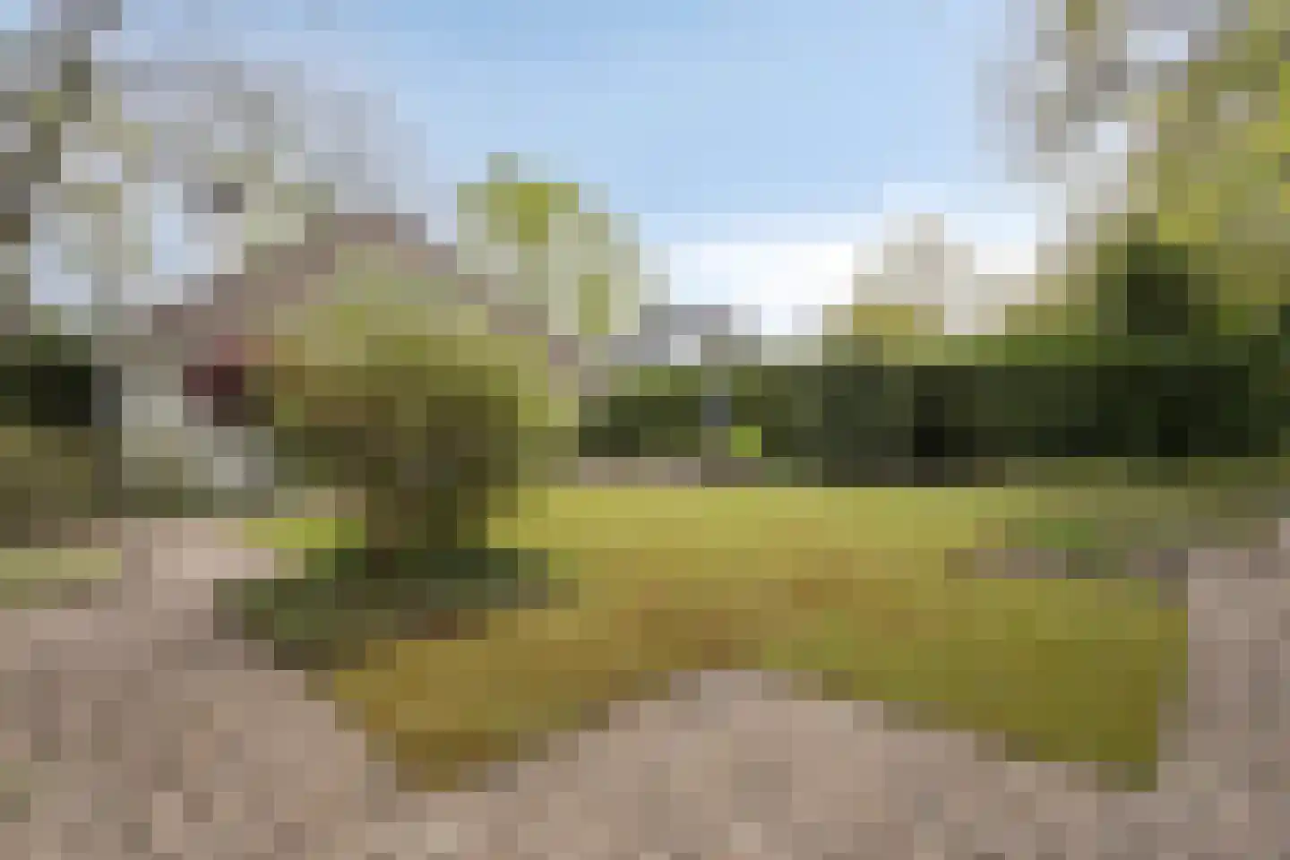 Zilvermos 2 Veenendaal thumbnail 70