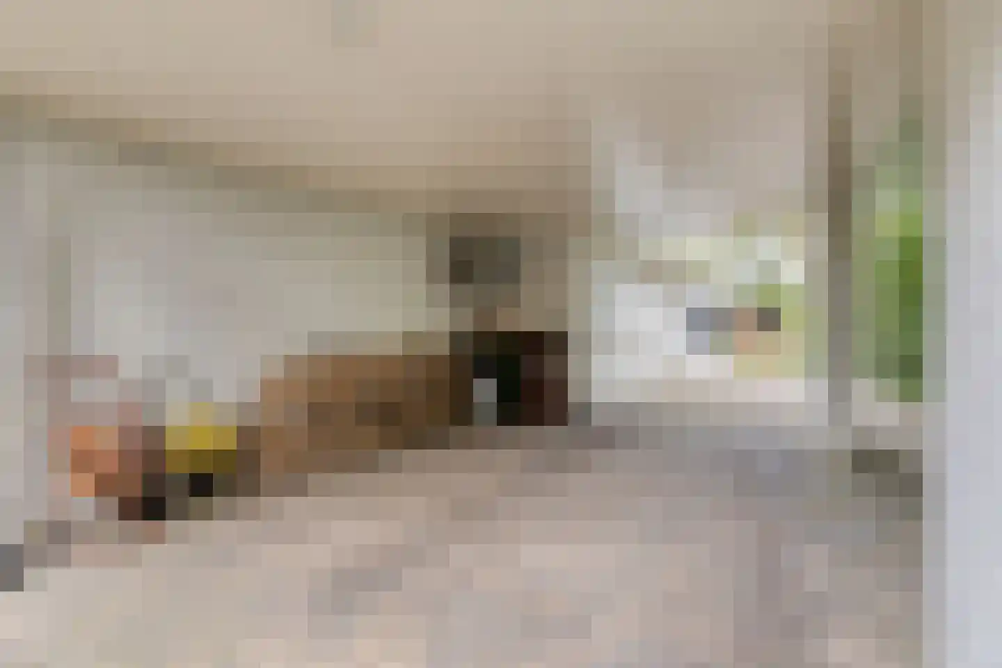 Zilvermos 2 Veenendaal thumbnail 71