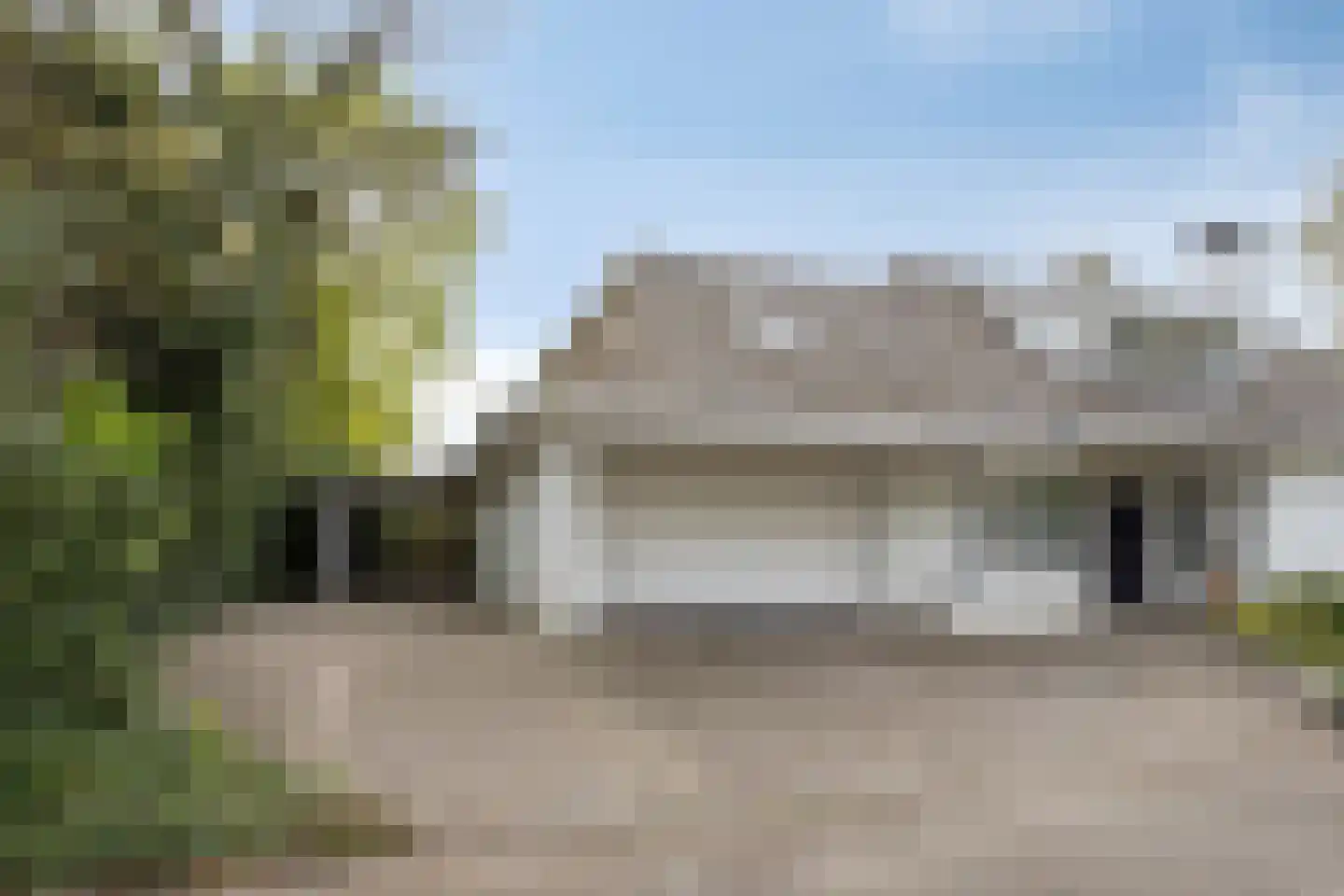 Zilvermos 2 Veenendaal thumbnail 72