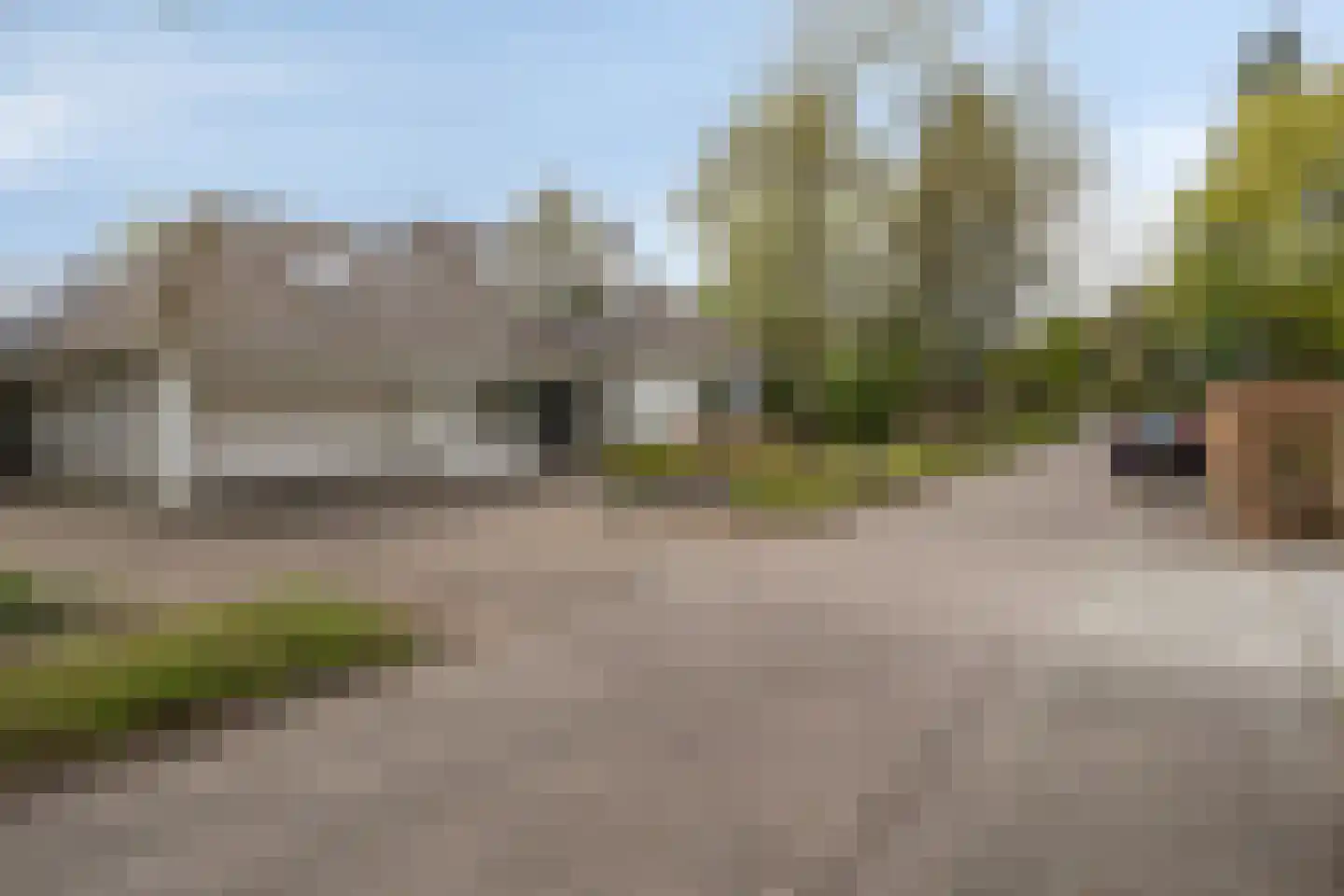 Zilvermos 2 Veenendaal thumbnail 74
