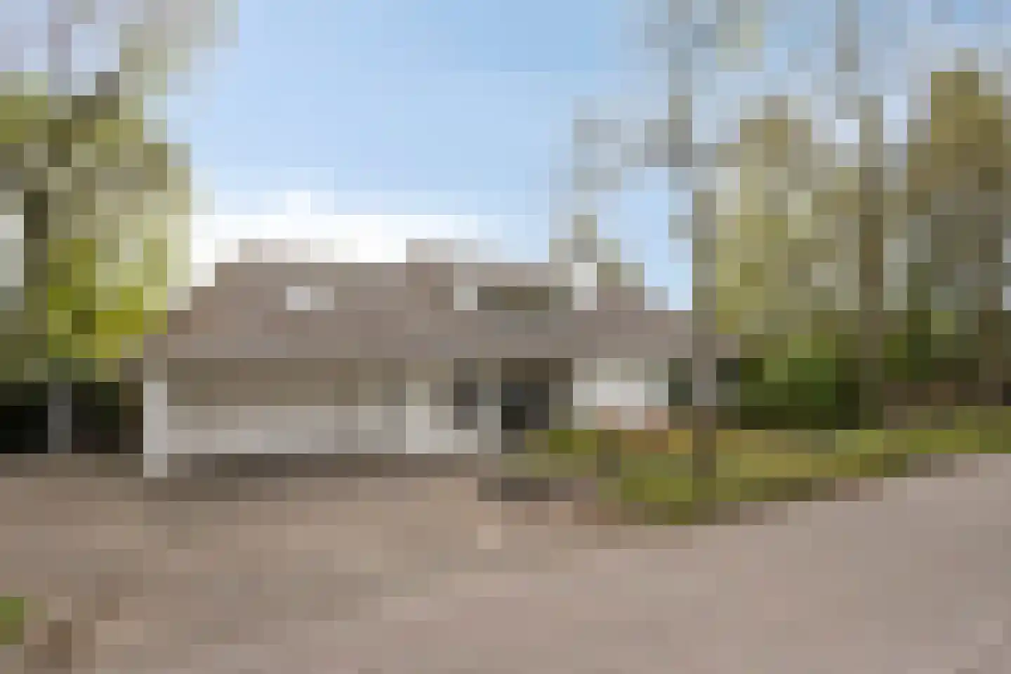 Zilvermos 2 Veenendaal thumbnail 75