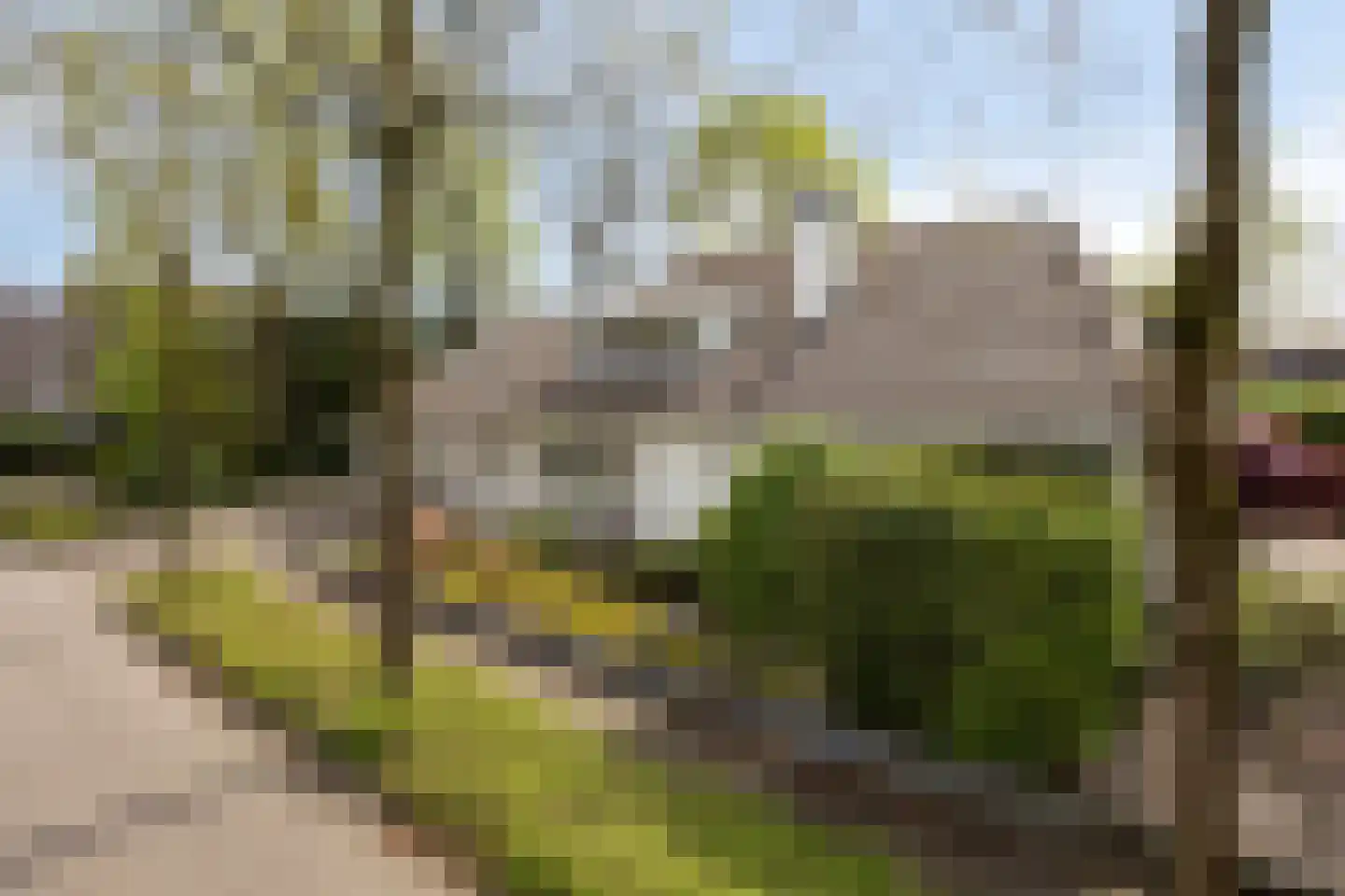 Zilvermos 2 Veenendaal thumbnail 76