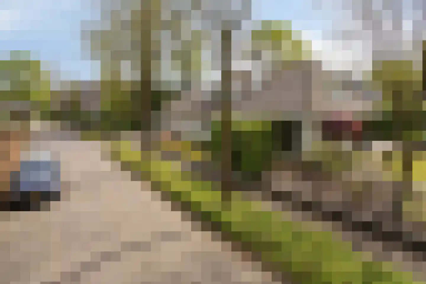 Zilvermos 2 Veenendaal thumbnail 77