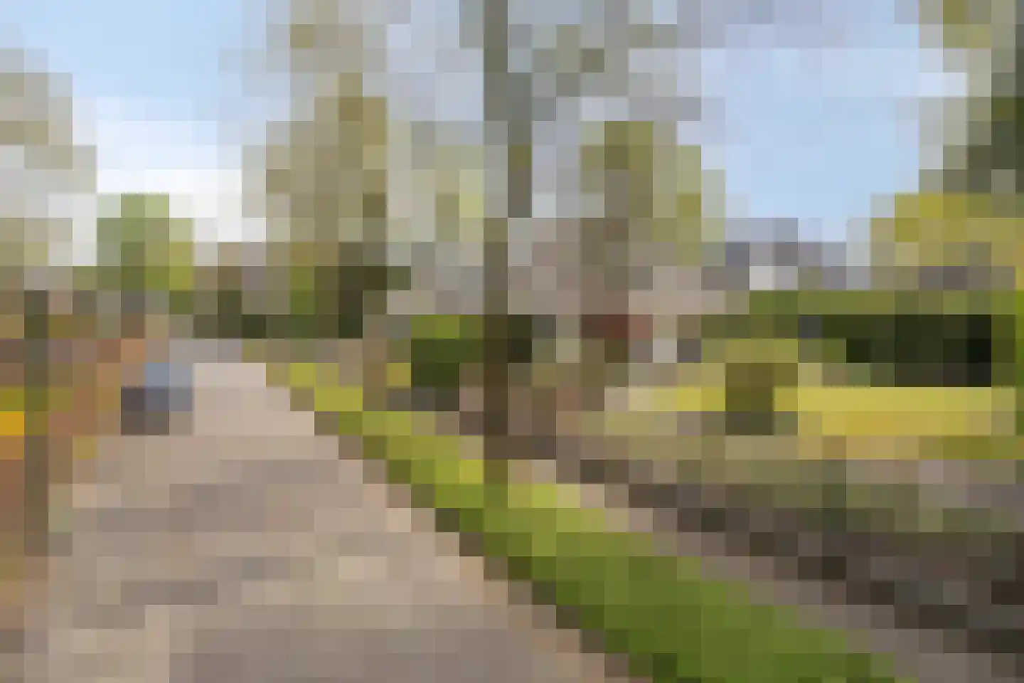 Zilvermos 2 Veenendaal thumbnail 78