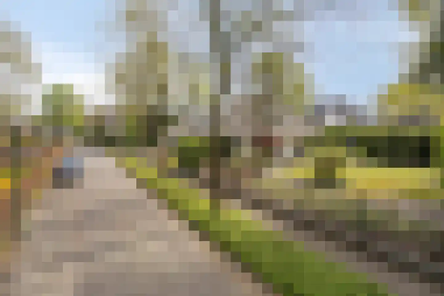 Zilvermos 2 Veenendaal thumbnail 78