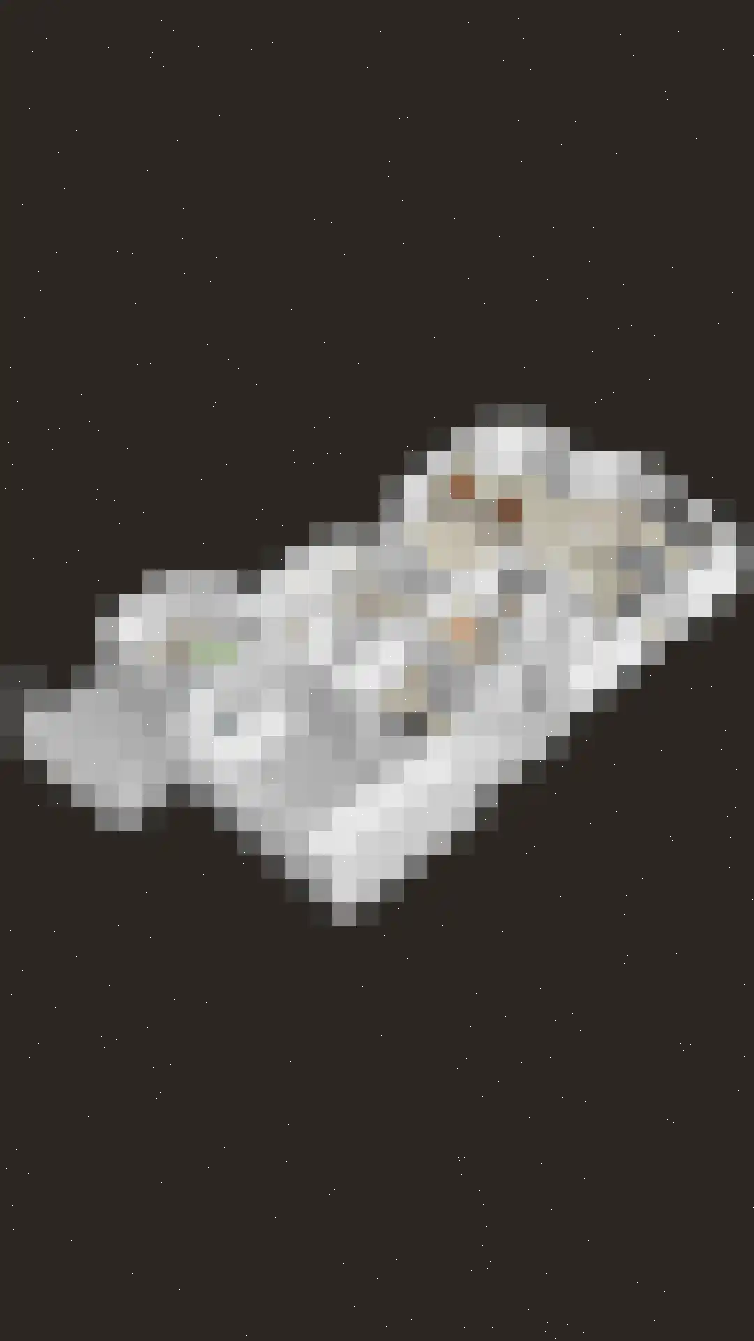 Zilvermos 2 Veenendaal thumbnail 83