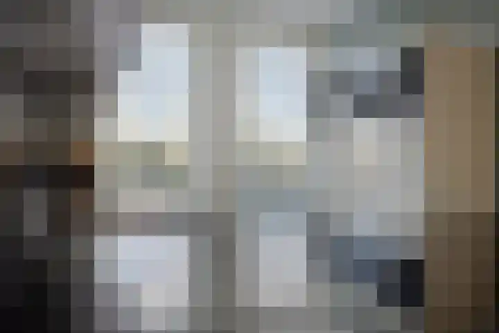 Zilvermos 30 Houten thumbnail 10