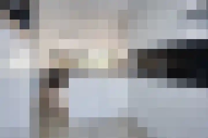 Zilvermos 30 Houten thumbnail 11