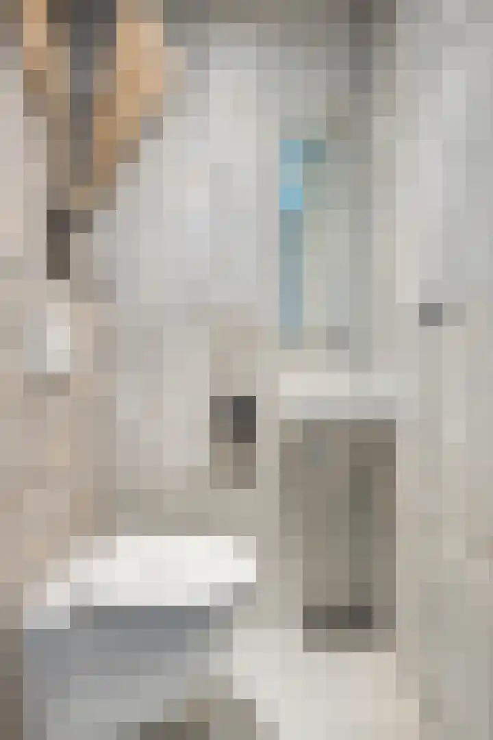 Zilvermos 30 Houten thumbnail 12