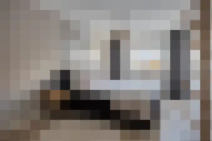 Zilvermos 30 Houten thumbnail 14