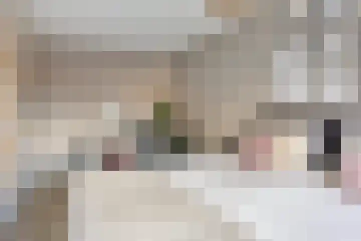 Zilvermos 30 Houten thumbnail 15