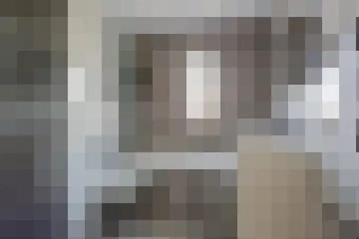 Zilvermos 30 Houten thumbnail 20