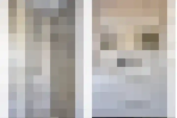 Zilvermos 30 Houten thumbnail 21