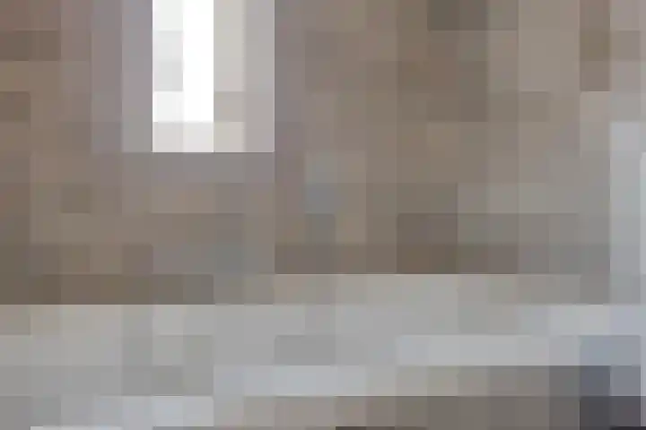 Zilvermos 30 Houten thumbnail 22