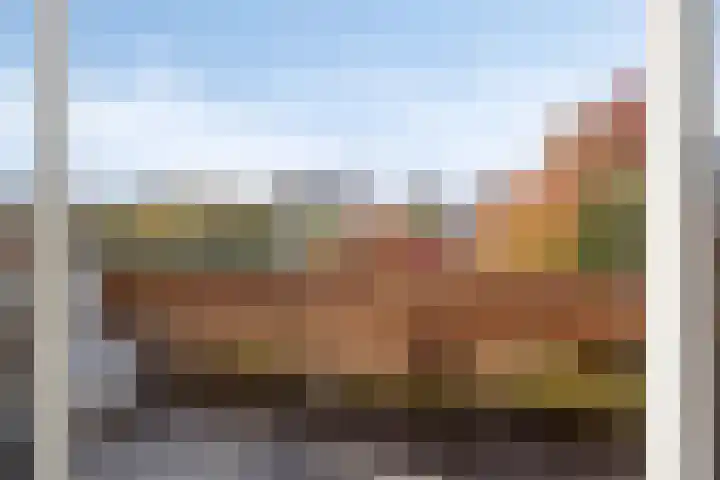 Zilvermos 30 Houten thumbnail 23