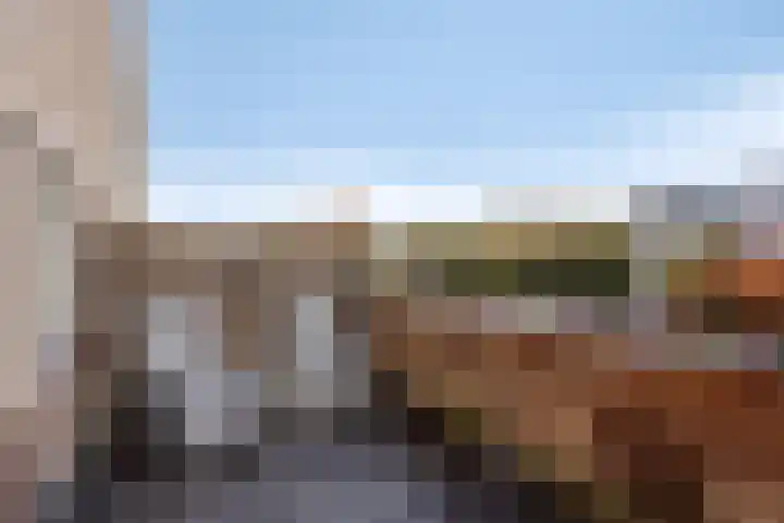 Zilvermos 30 Houten thumbnail 24