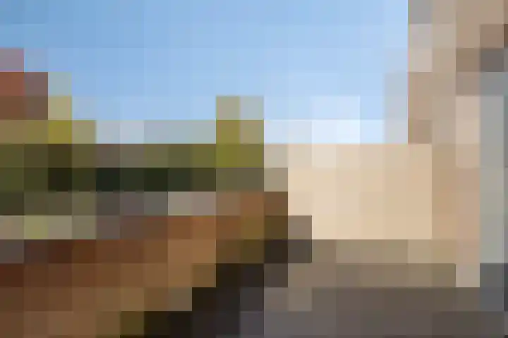 Zilvermos 30 Houten thumbnail 25