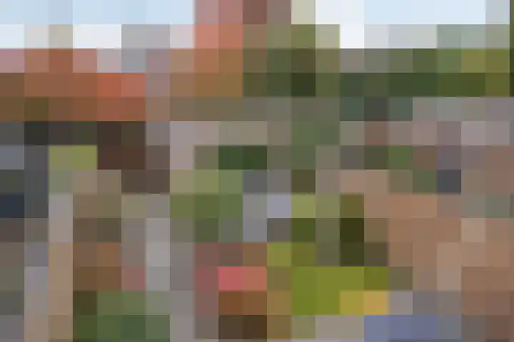 Zilvermos 30 Houten thumbnail 26